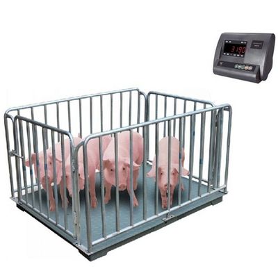 Elektronische Bodenwaage für Tiere 1M 2t Schweinewaage 3t Schafe Kuh Genauigkeit 0,5kg
