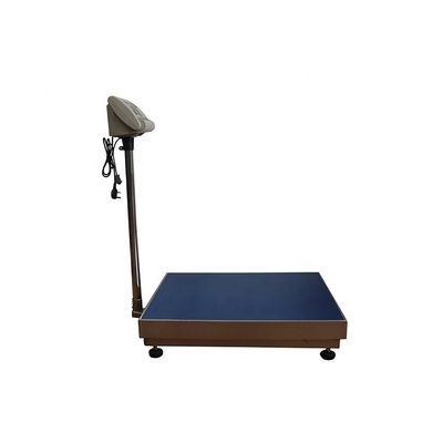 450*600mm Edelstahl-Bänke Skala 100Kg-600Kg mit Design und kundenspezifischer Unterstützung