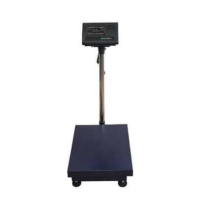 100 kg/ 300 kg/ 500 kg/ 800 kg tragbare Waage aus Edelstahl mit OEM-Unterstützung