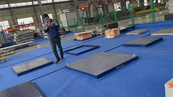 Ladungs- oder Batterieanzeige Typ 1.2M 2T Schweineskala für Tiere
