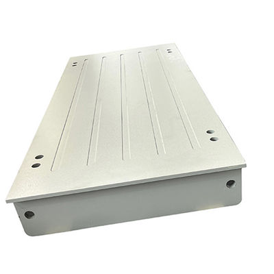 OEM unterstützt 110/220v Edelstahl Gewichtsskala 3000kg 1000kg Bankgewichtsskala